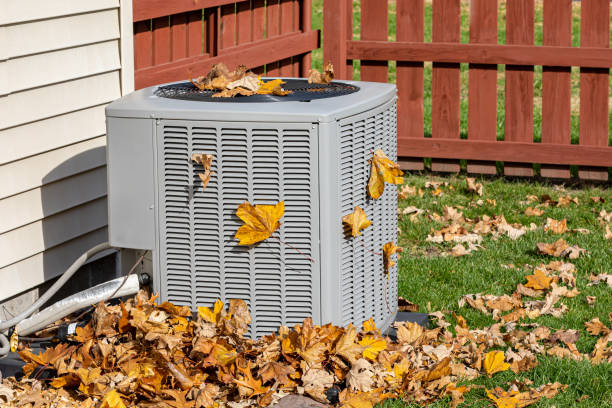 Best HVAC Air Duct Cleaning  in Poplar Plains, CT